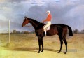 Eine dunkle Bucht Rennpferd mit Patrick Connolly Up Herring Snr John Frederick Pferd